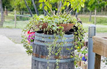 Monte do Lago, Pegões - Foto 37