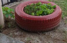 Fyllenia Country Home, Aridaia, Pozar Baths - Foto 43