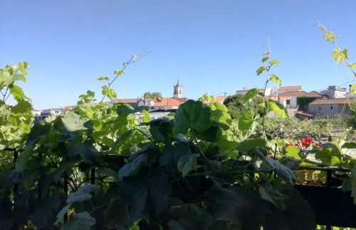 O Ze Ja Dormiu Aqui - Photo 36