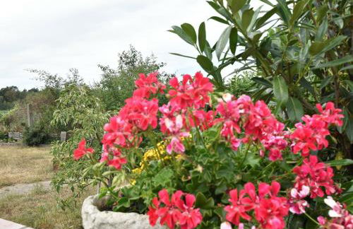 Gemuetlicher Bungalow mit Garten UND Whirlpool in Nakenstorf - Foto 64