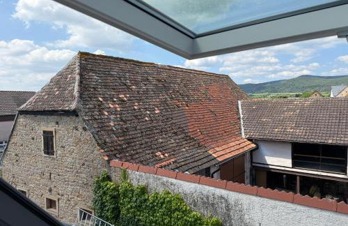 Rebenblick Dachsuite in historischem Gebäude aus 1840 - Foto 20