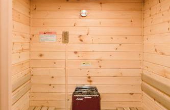 Whiteface Mountain Chalet - Foto 47