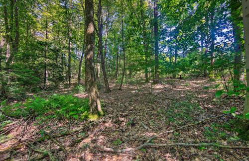 Hike, Hunt and Unwind Cozy Cabin Near Hersheypark - Foto 27