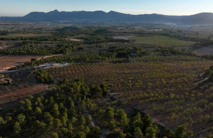 Villa para grupos 12 personas con piscina, barbacoa y finca de 50ha en Alicante - Foto 7
