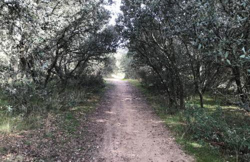 Los Cipreses de Mesones - Foto 45