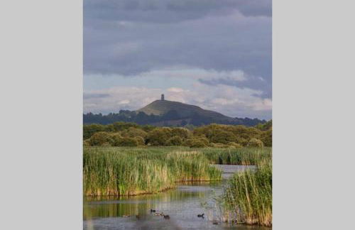 Self contained annexe in the heart of Wedmore - Foto 46