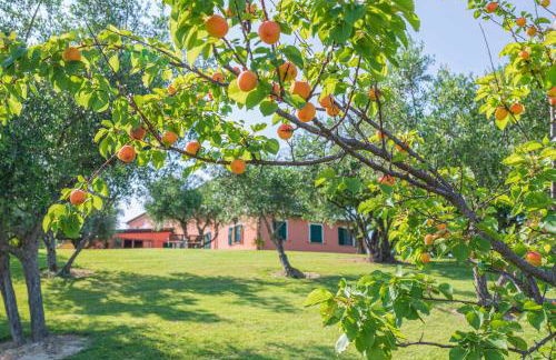 Agri Divin Amore - Foto 27