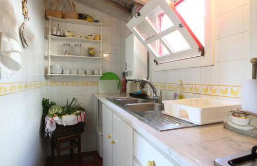 Quinta de Pindela - Natureza e Tradicao - Foto 46