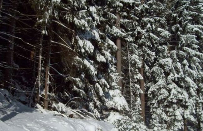 Gutsweg One - Apartment 3 - Foto 10