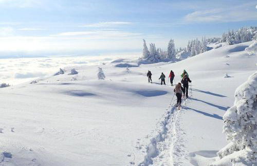 Le Chalain cosy proche centre ville - Foto 30