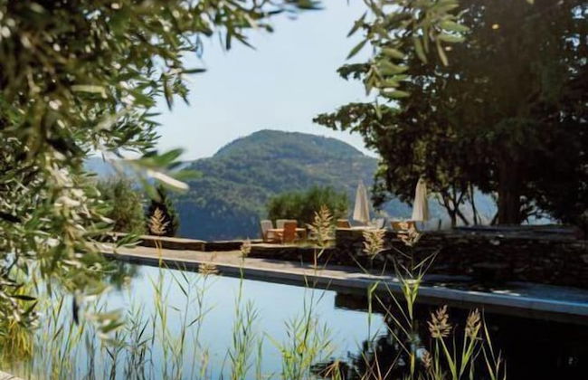 Quinta Vila Rachel - Photo 28