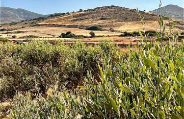 Ampelonas Antiparos - Foto 1