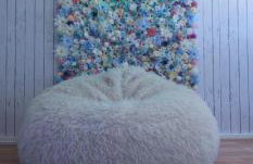 The Lucky 7 - Photo 1