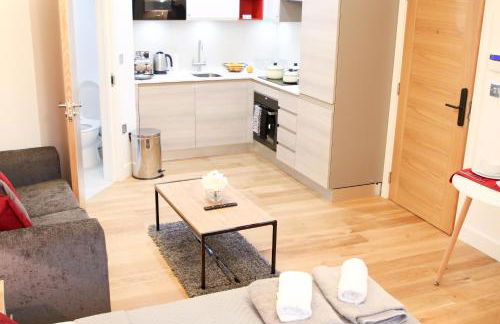 Executive Bright and Airy Studio Apartment in Sydenham - Foto 11