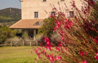Podere San Niccola - Foto 33