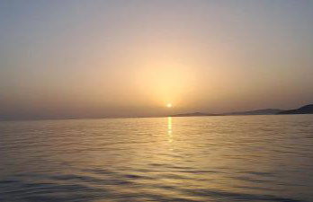 Dinas Inn - Photo 38