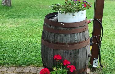 Ferienwohnungen Klaus u. Bärbel - Foto 52