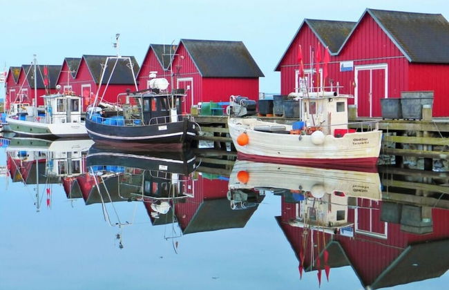 Apartment Near the Beach With sun Balcony - Photo 13