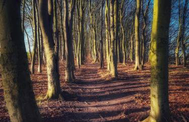 Ostseehaus am Naturstrand - Arkonablick - Foto 28