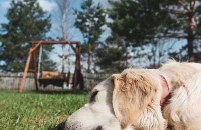 Leśna 21 Dom Północ przy PUSZCZA BIAŁOWIESKA - Foto 52