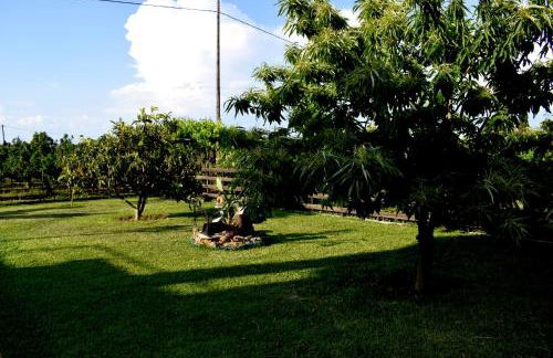 Κτήμα Κωνσταντινίδη - Photo 36