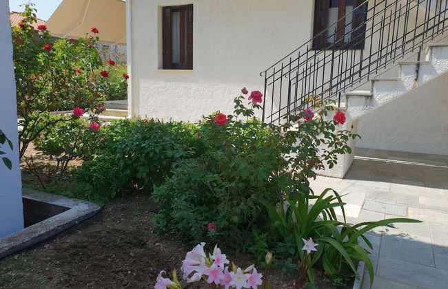 Zmas Studios - Foto 37