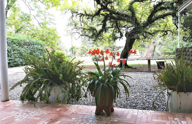 Quinta Valvanera - Foto 30