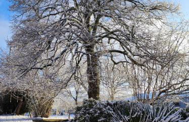 Gite du Dolmen classé 3 épis - Photo 37