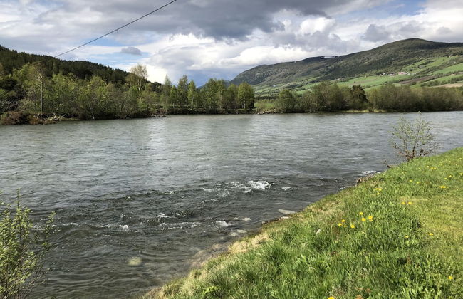 Toftemo Turiststasjon Hytter - Photo 79