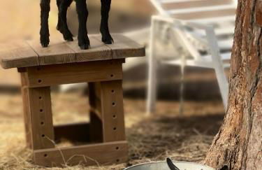 Cozy Cabin Escape - Foto 53