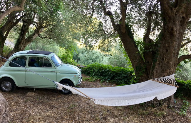 Agriturismo Don Cesarino - Photo 44