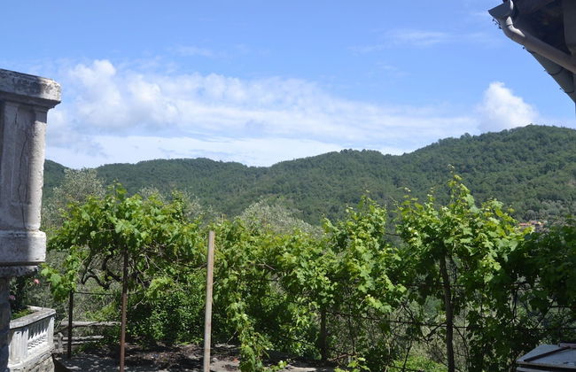 Nature Retreat in Testico - Foto 37