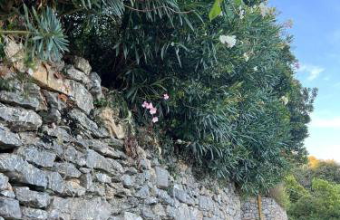 La casina fra gli oleandri - Foto 31