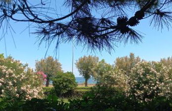 RosMarino_Appartamento Fronte Mare - Foto 1