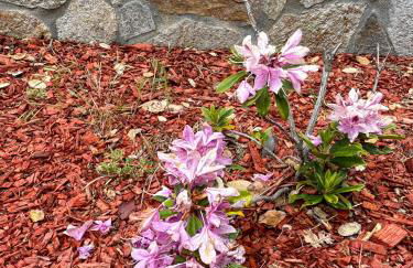 5BR Luxury with KTV, Pool, View, Near Stanford - Foto 52