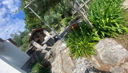 Villa Santo Antonio - Foto 5, Garden, Garden view