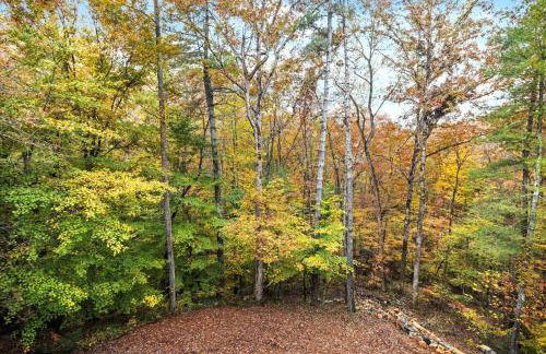 4 BR Mountain Cabin with Hot Tub & Fire Pit in GA - Foto 46