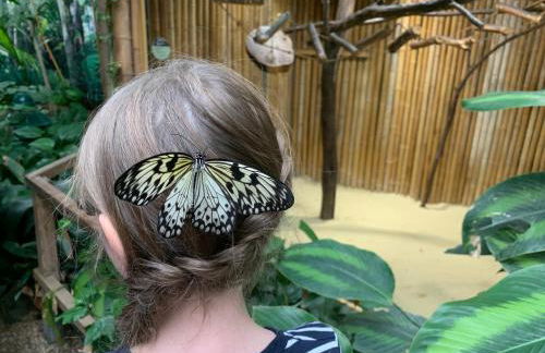 FeWo Skiheim - Foto 35