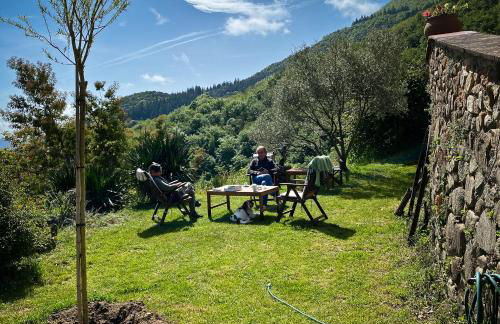 El Buxaus de la Muntanya - Foto 14