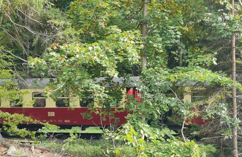 Ferienwohnung am Wald mit Garten - Photo 20