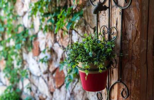 Villa Oliva Bribir - Foto 22