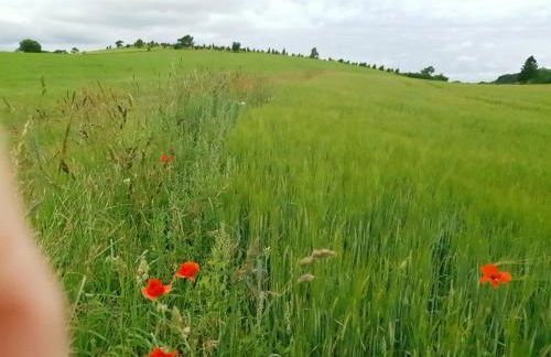 Ferienhaus am Eifelsteig - Foto 31