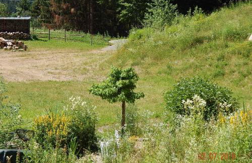 Haus Wiesental - Foto 33