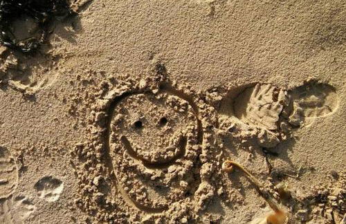 Applegrove, perfect 2 bed bungalow, Fortrose - Foto 29