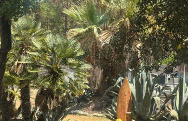 Le Chai de l'Océan - Villa Soulacaise plage à 100m Piscine Jardin 1400m2 - Foto 16