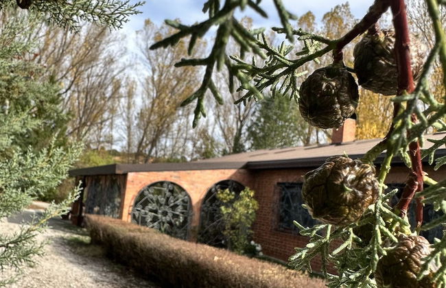 Finca Paraíso Rural - Foto 15