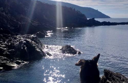 La Casa di Marco, holidays, sea and nature - Foto 34