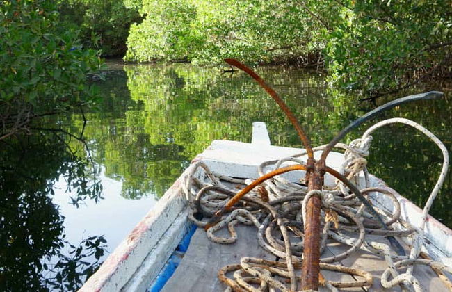 Excursión privada al delta del Salum - Foto 1