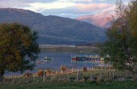 Brackenbrae Holiday Cottage - Photo 40