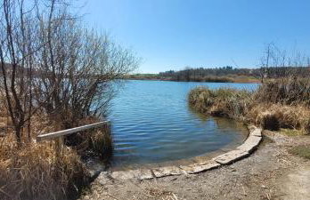 Seeschwalbe - Foto 21